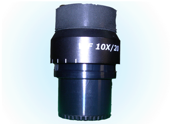 �����ֵ�Ŀ��